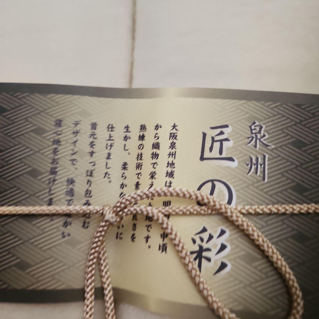 肩あったかシルク毛布 2P 140cm X 210cm