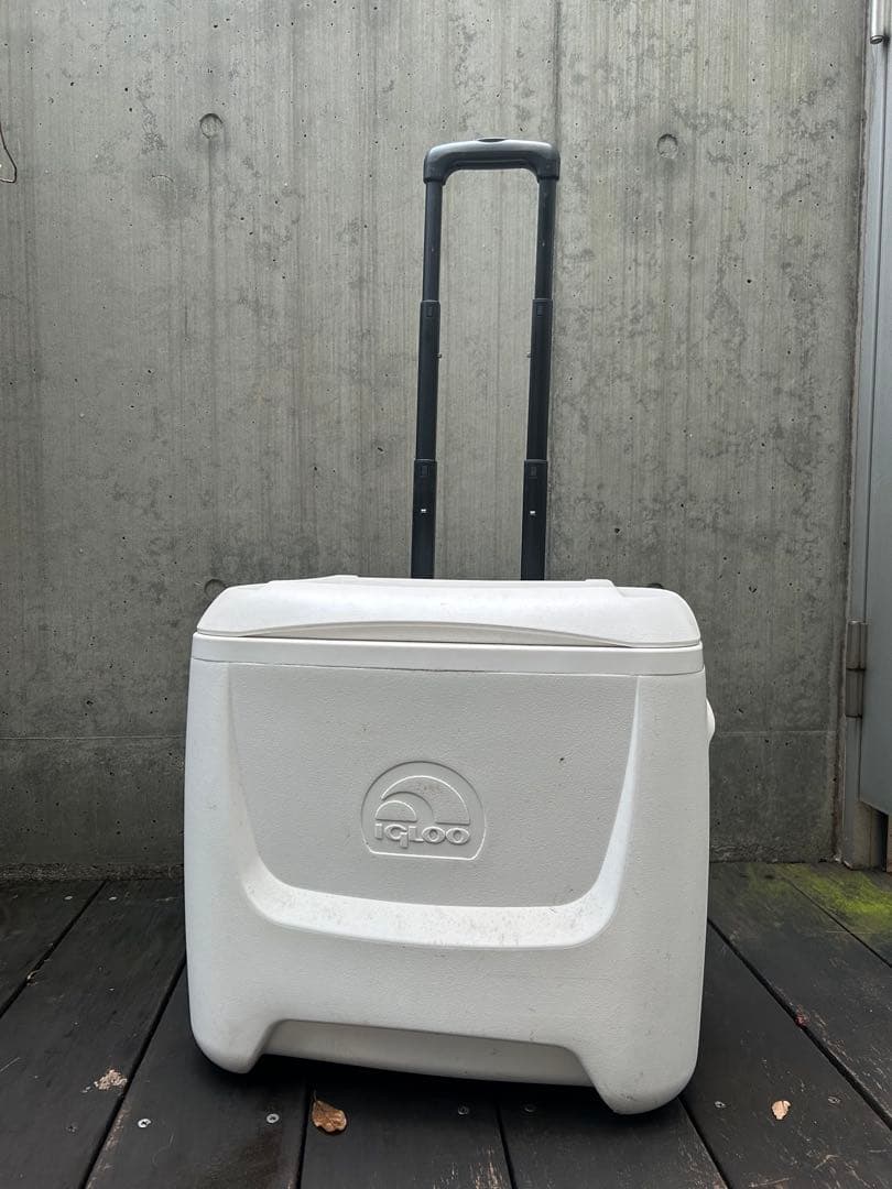 igloo ホワイト 白 クーラーボックス おしゃれ