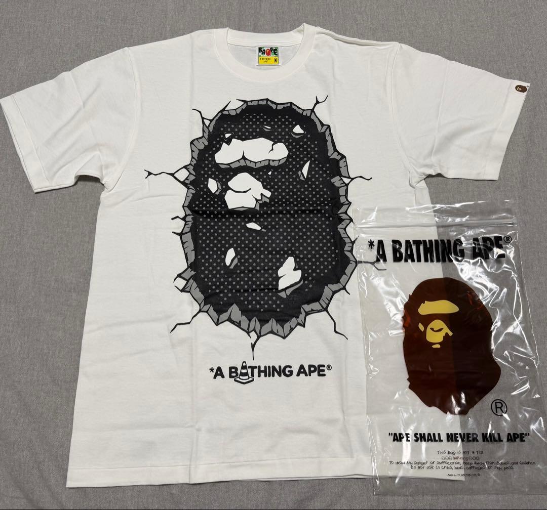 BAPE x Joshua Vides TEE nigo エイプ ベイプ