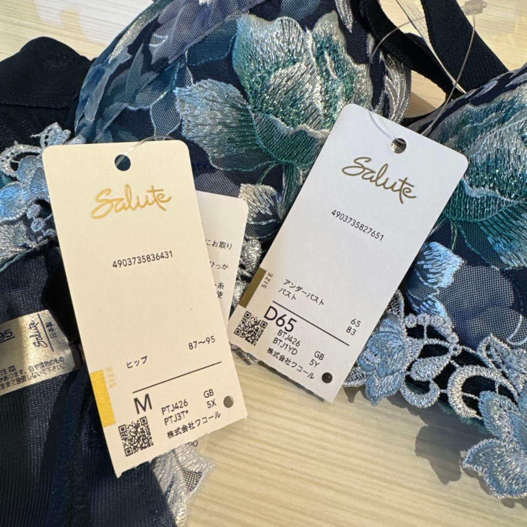 Salute ブラジャーショーツセット D65