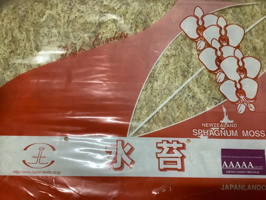 水苔　ニュージーランド産　a5