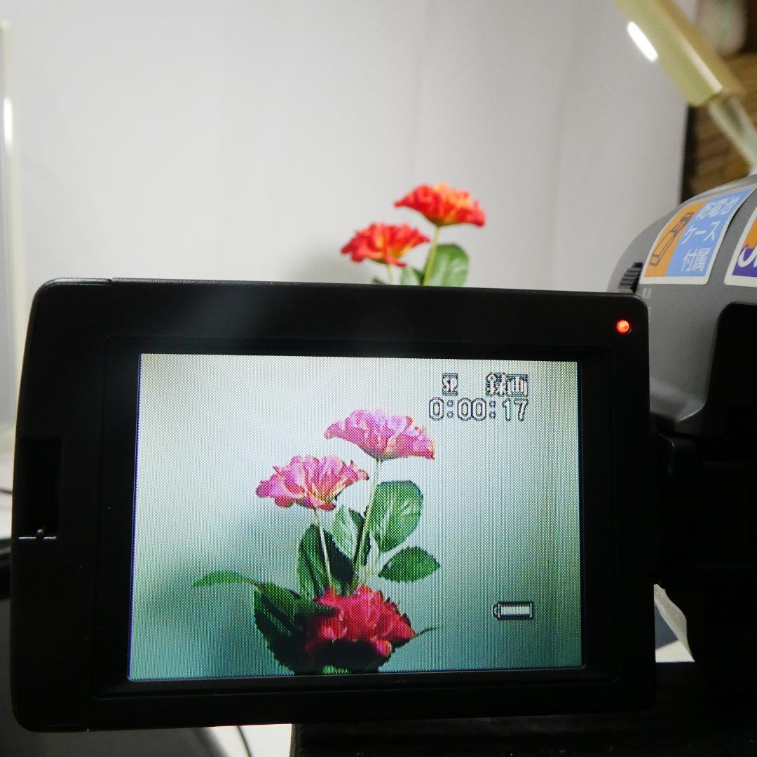 動作良好 ソニー CCD-TRV20 8ミリビデオカメラ DVD化に最適