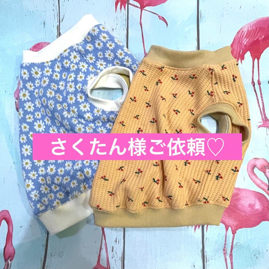 L size デイジーブルー　フレブル服　パグ服　ハンドメイド犬服