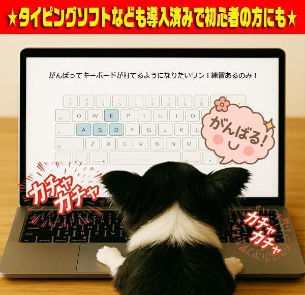 ◎最強VAIO★新品SSD★CORE-I5★リカバリ★ブルーレイ★オフィス★絶品
