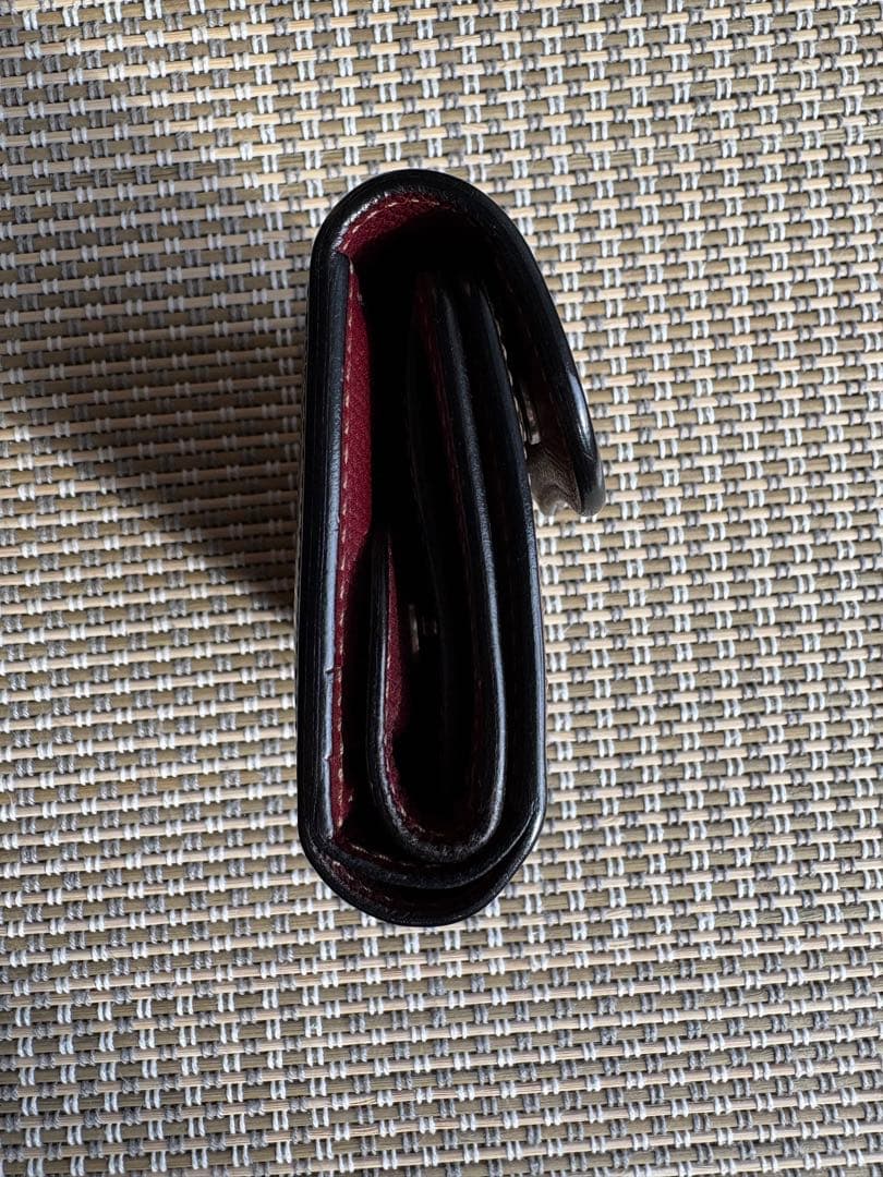 イーノ　ENO【ワイルドスワンズ／WILDSWANS】