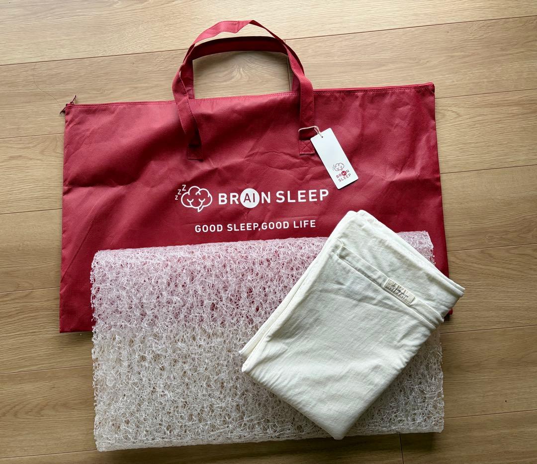 【LOWタイプ】 ブレインスリープピロー　枕カバー　購入時の袋付き