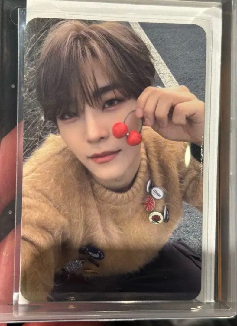 韓国　alphadriveone ald1　シンロン　サノク　 トレカ