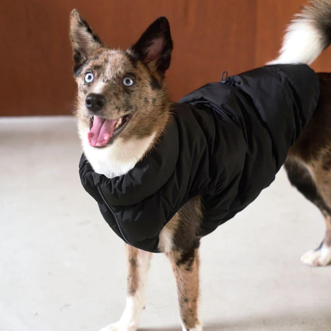 CushyCushy CUSHY PUFFER VEST ブラック サイズ8