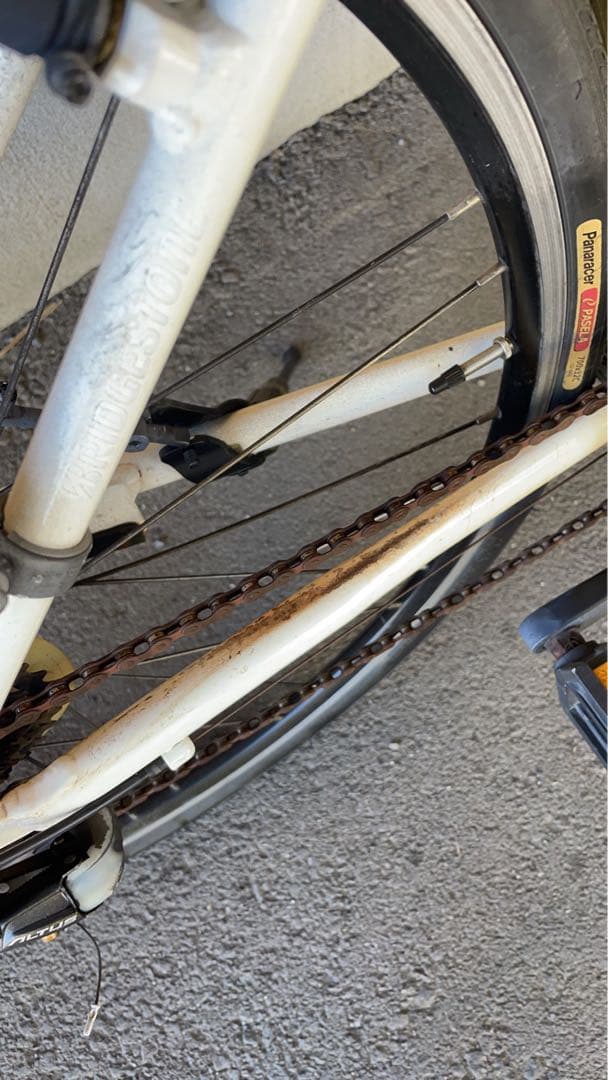 ニ*☆様 ブリヂストン　CYLVA F24 (シルヴァF24) ホワイト クロス