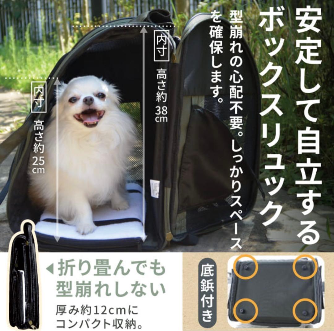 3WAYタッチイン リュック パノラマビュー ランドキャリー