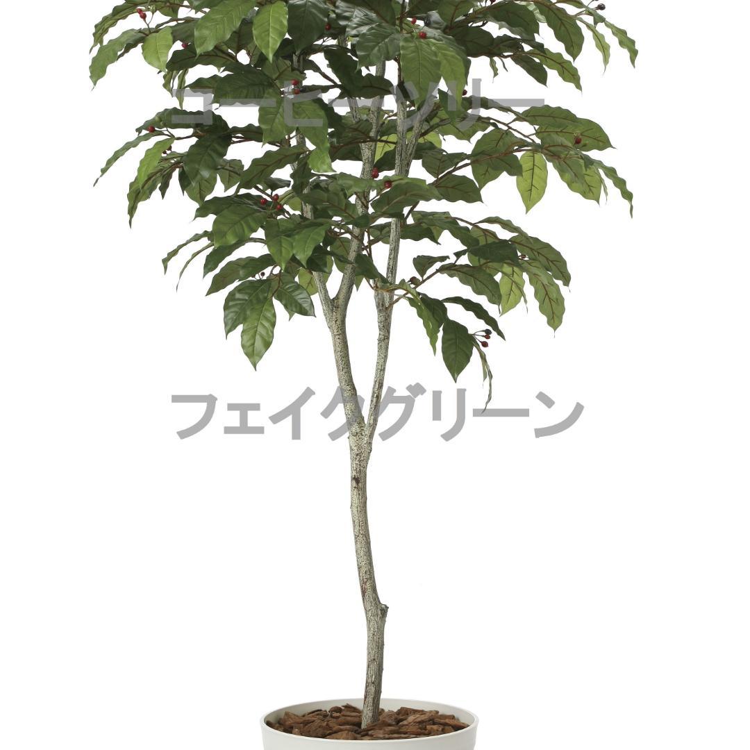 ◇日本製◇◇◇フェイクグリーン コーヒーツリー1.8 高さ1.8m 光の楽園