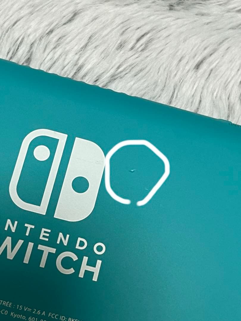 Nintendo Switch Lite ターコイズ一式・保護フィルム付き