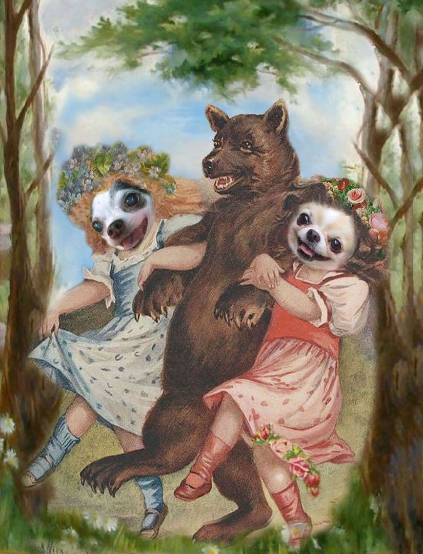 Akapon様ご購入専用ページ♥️　チワワ　ぬいぐるみ　　リアル　カズコオガワ