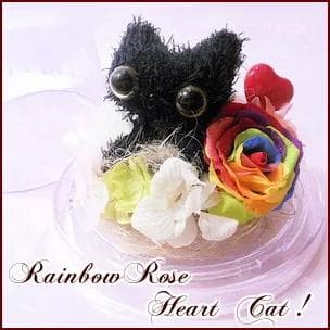 プリザーブドフラワー　黒ネコとレインボーローズドームアレンジ　送料無料
