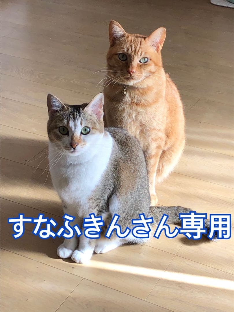 すなふきんさん専用　210特大鏡餅