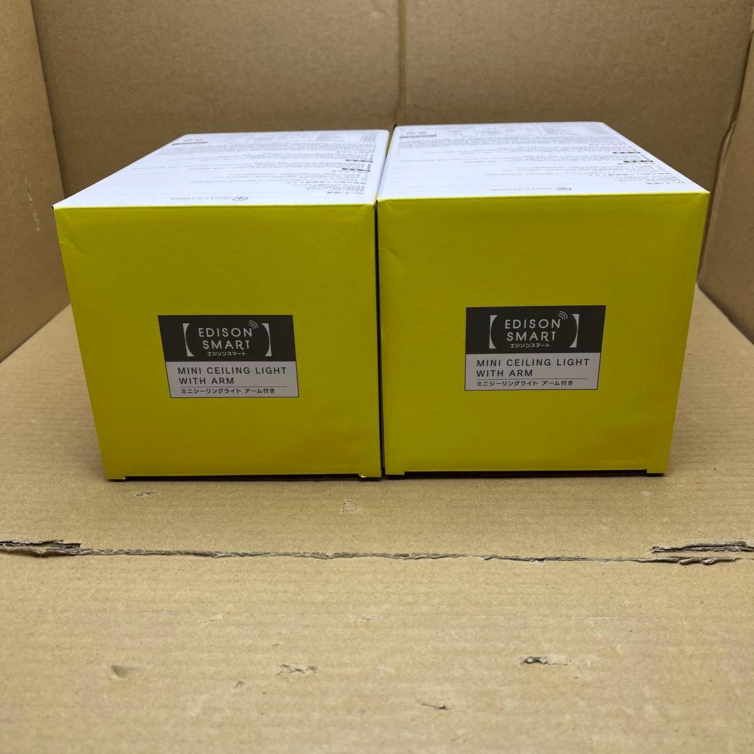 エジソンスマート ミニシーリングライト (アーム付き)2個セット