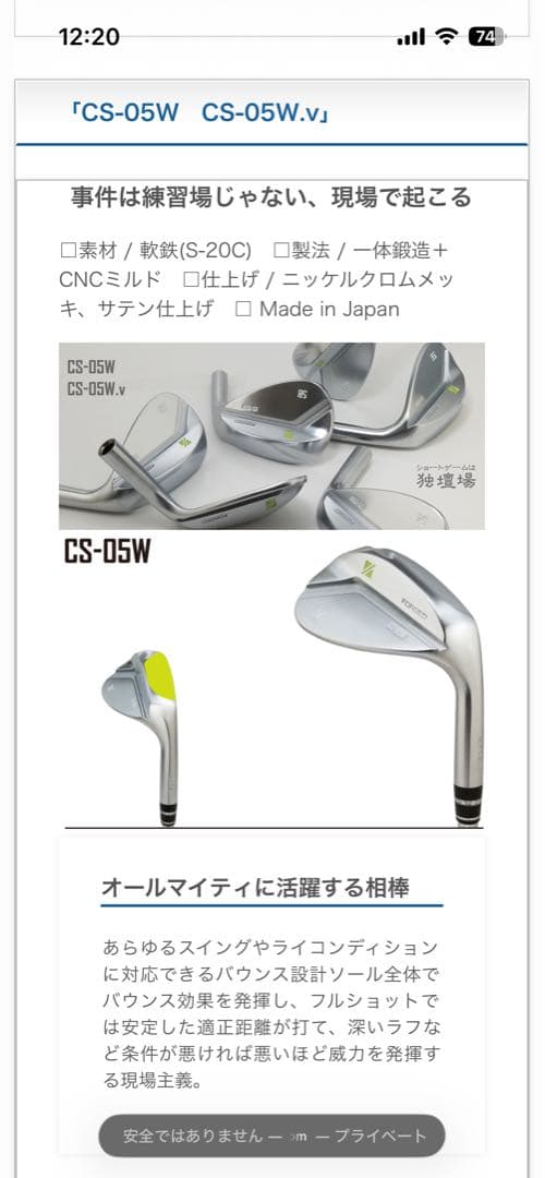 dgol RAZZLE DAZZLE CS-05W 53°58°セット