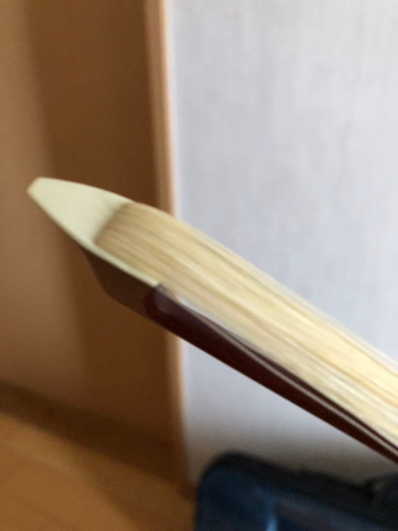 Carlo giordano VS-2 バイオリン本体 茶色 ケース付き