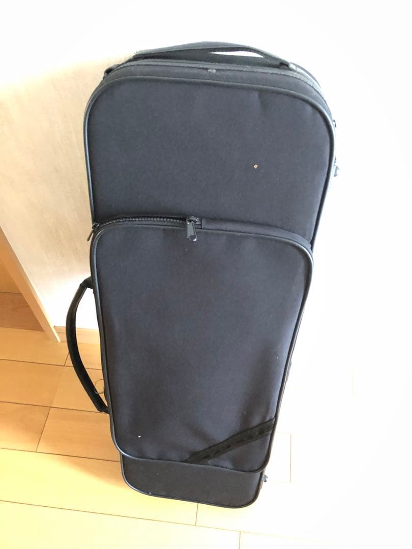 Carlo giordano VS-2 バイオリン本体 茶色 ケース付き