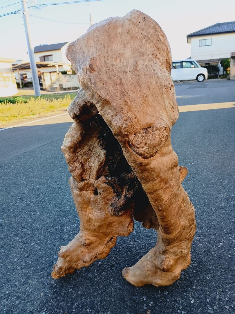 自然天然木(根)とても珍人間の歩姿です自然の感動てきア−ト作品です一品です