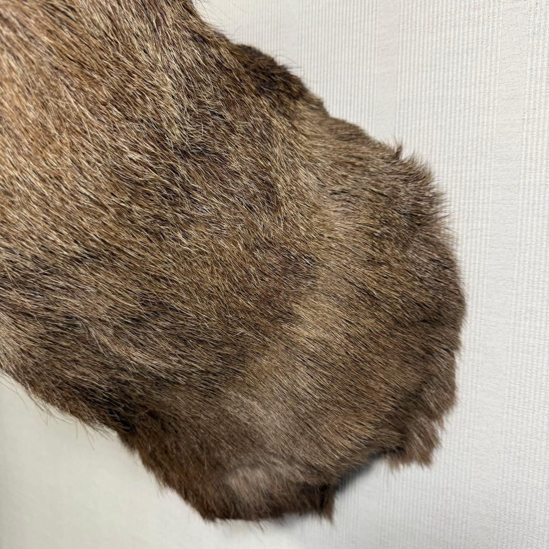 【引取限定】蝦夷鹿 エゾシカ ① 北海道 剥製 壁掛け ハンティングトロフィー