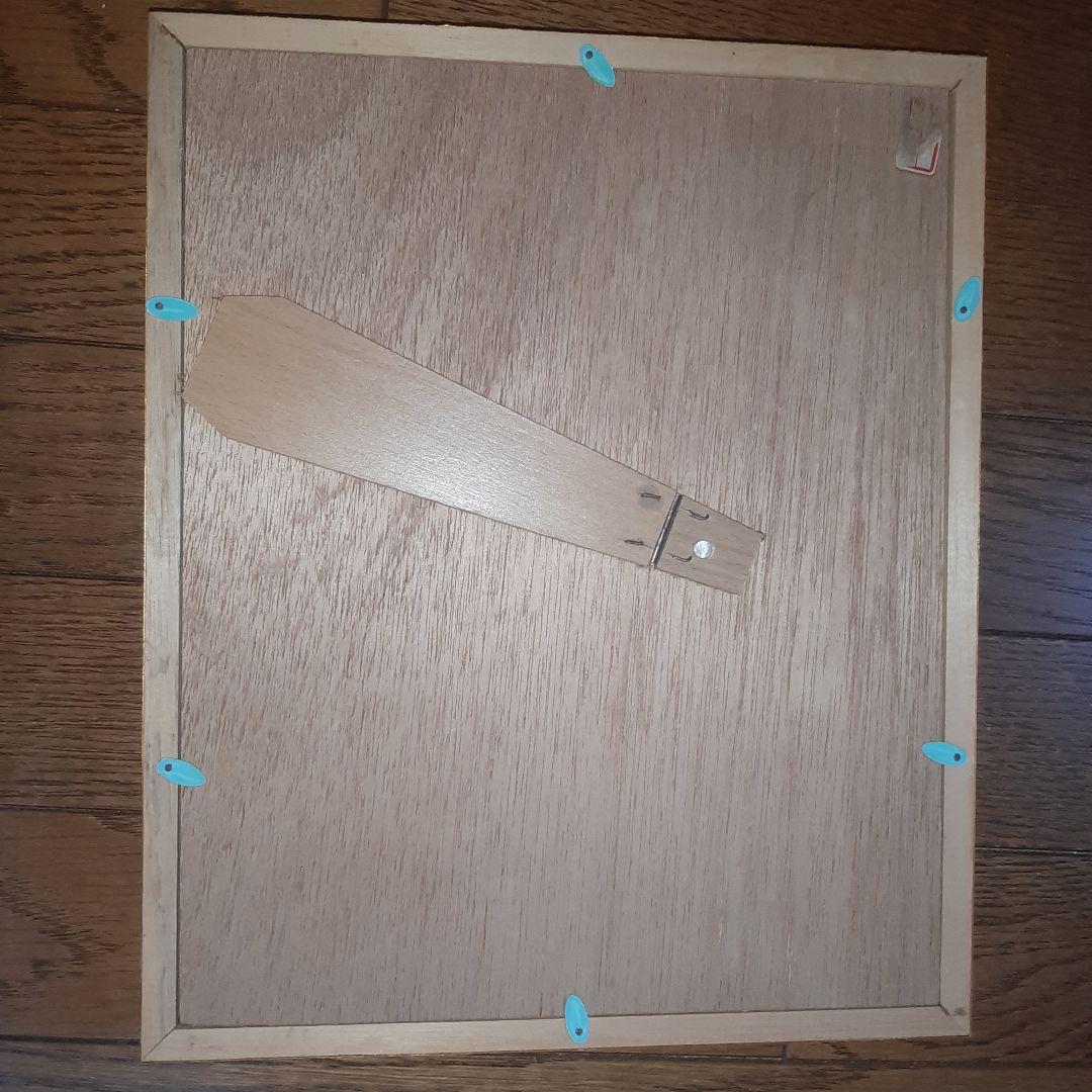 美しい蝶の標本 5種セット