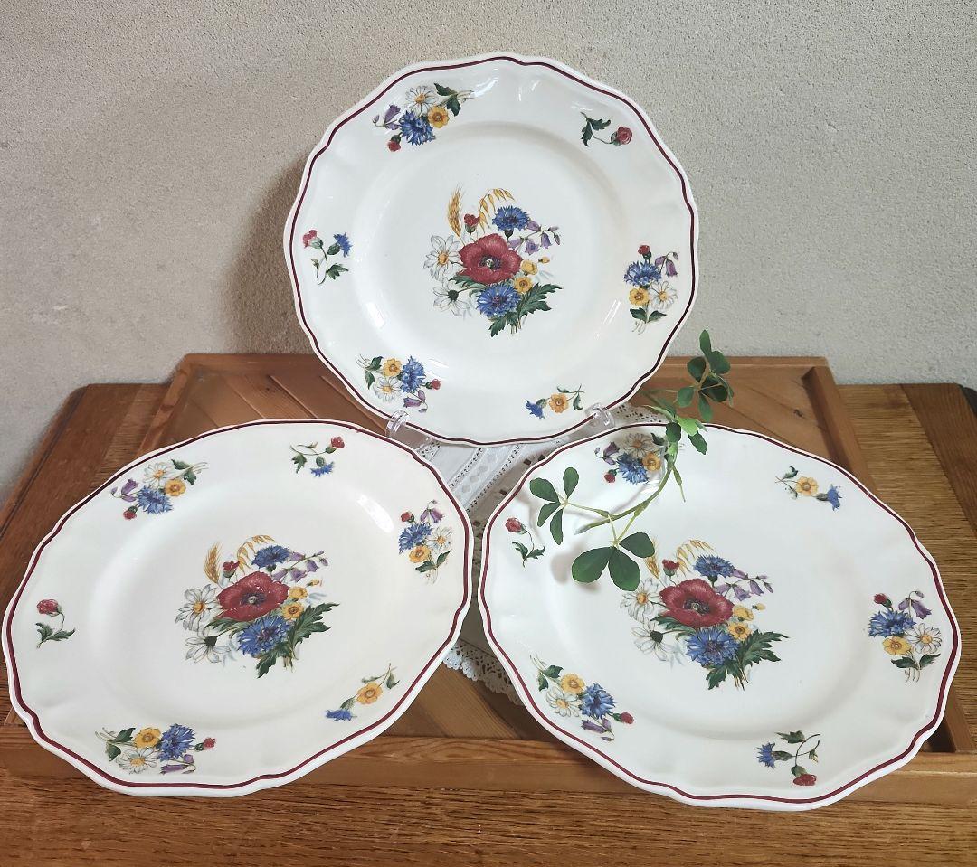 フランス　サルグミンヌ　アグレスト agreste　ディナー皿　プレート　3枚