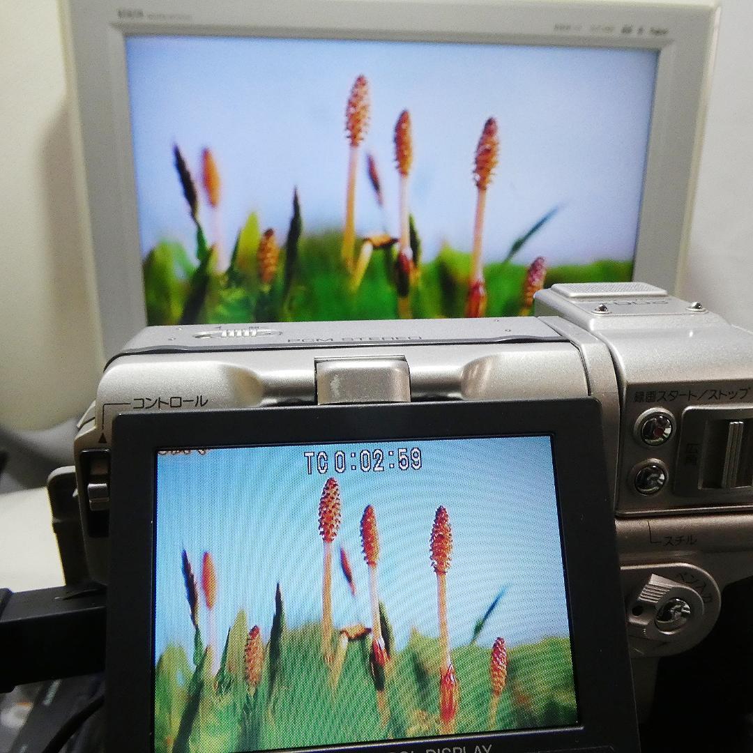 動作良好 シャープ VL-FD1 MiniDVビデオカメラ DVDダビングに最適