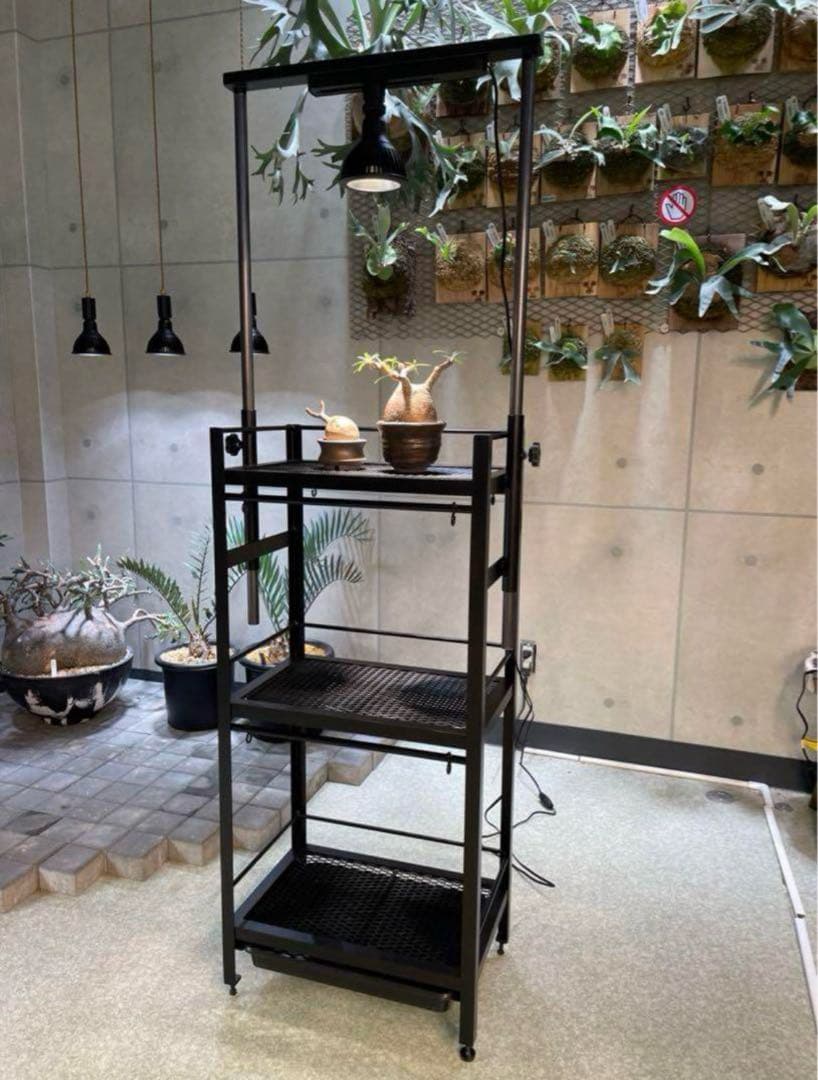 植物棚　アイアン　コンパクトタイプ　アイアン植物棚　シェルフ　tig溶接製作