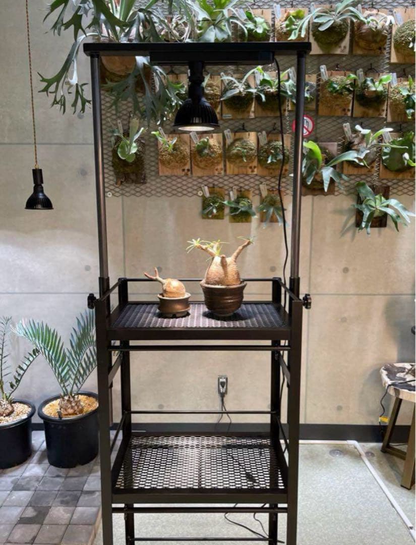 植物棚　アイアン　コンパクトタイプ　アイアン植物棚　シェルフ　tig溶接製作