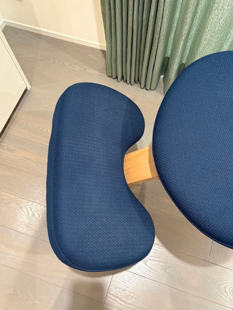 balance Easy バランスチェア 椅子 カバー付き