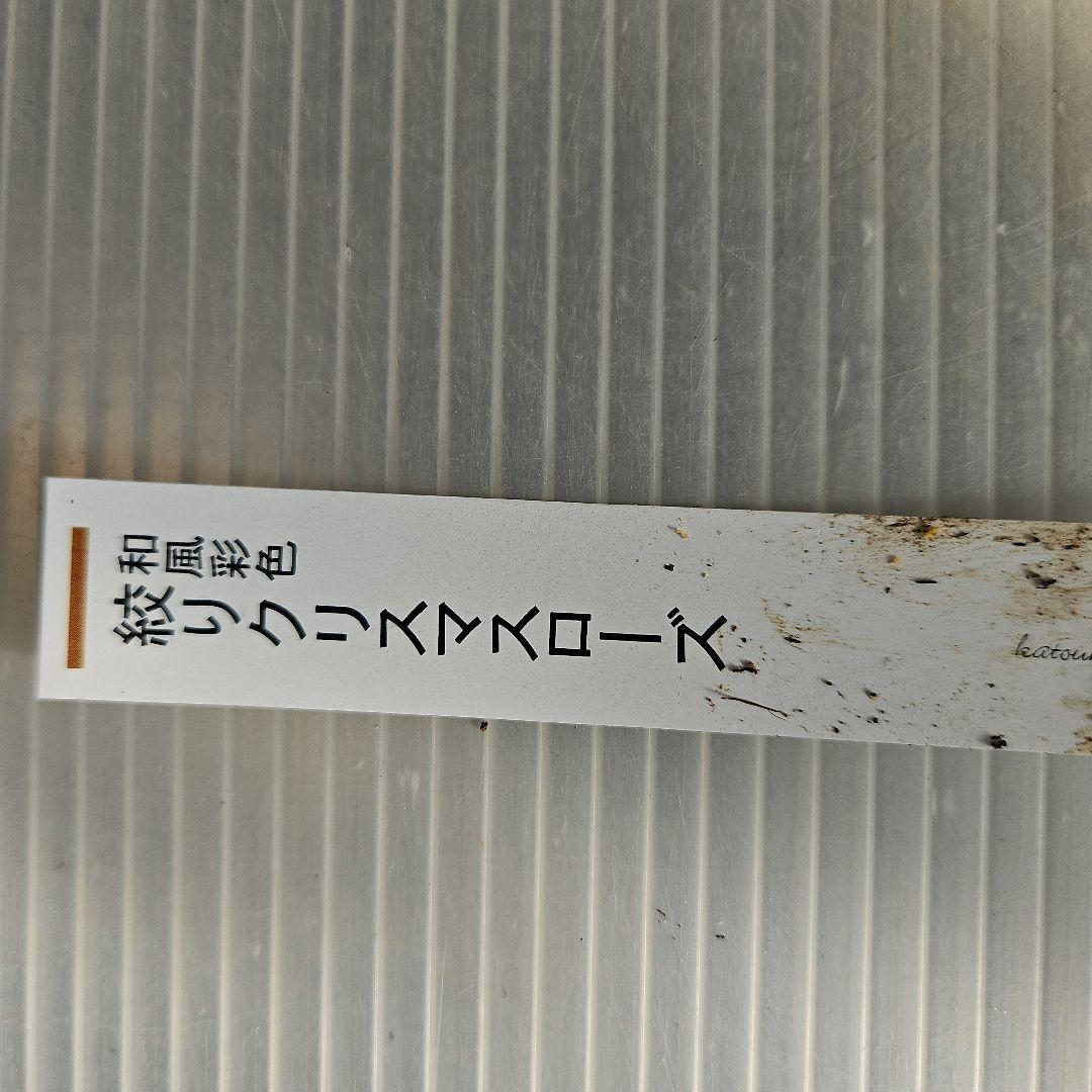 ★みぃ様ご購入苗㉖-11㉖-260クリスマスローズ