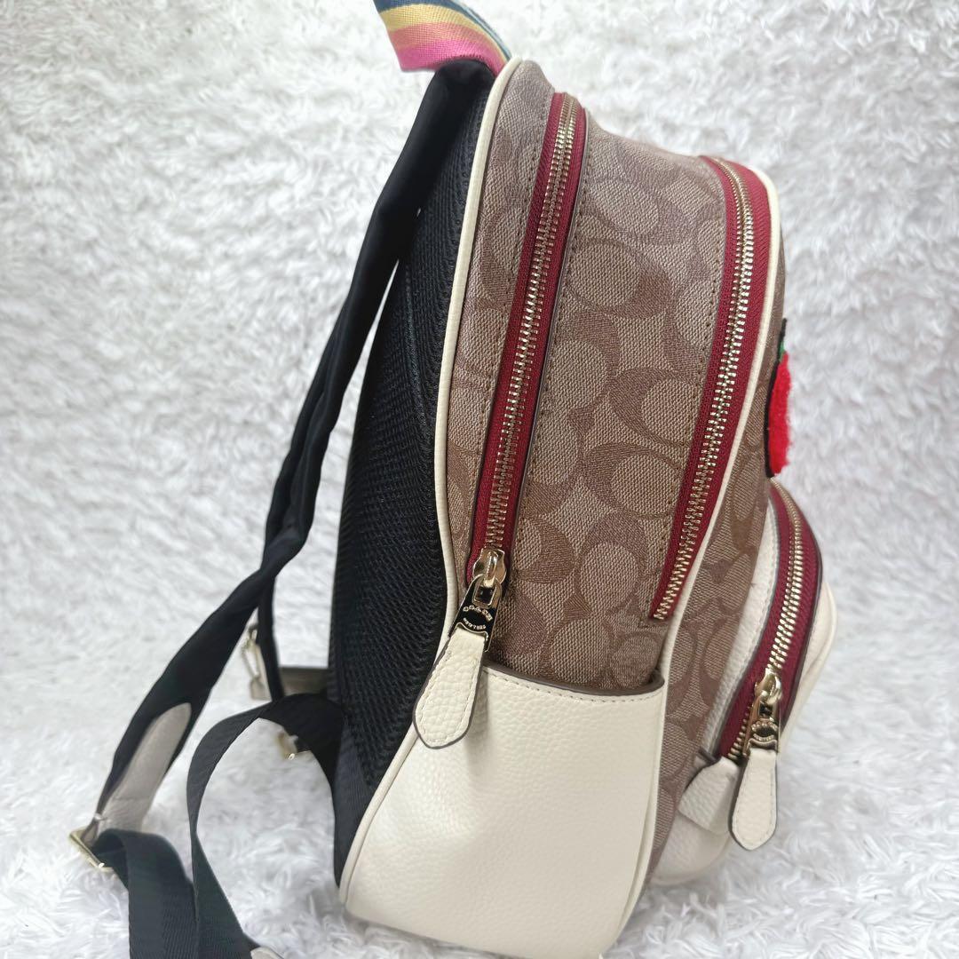 ✨激レア品✨ COACH コーチ スヌーピー コラボ リュック C4115
