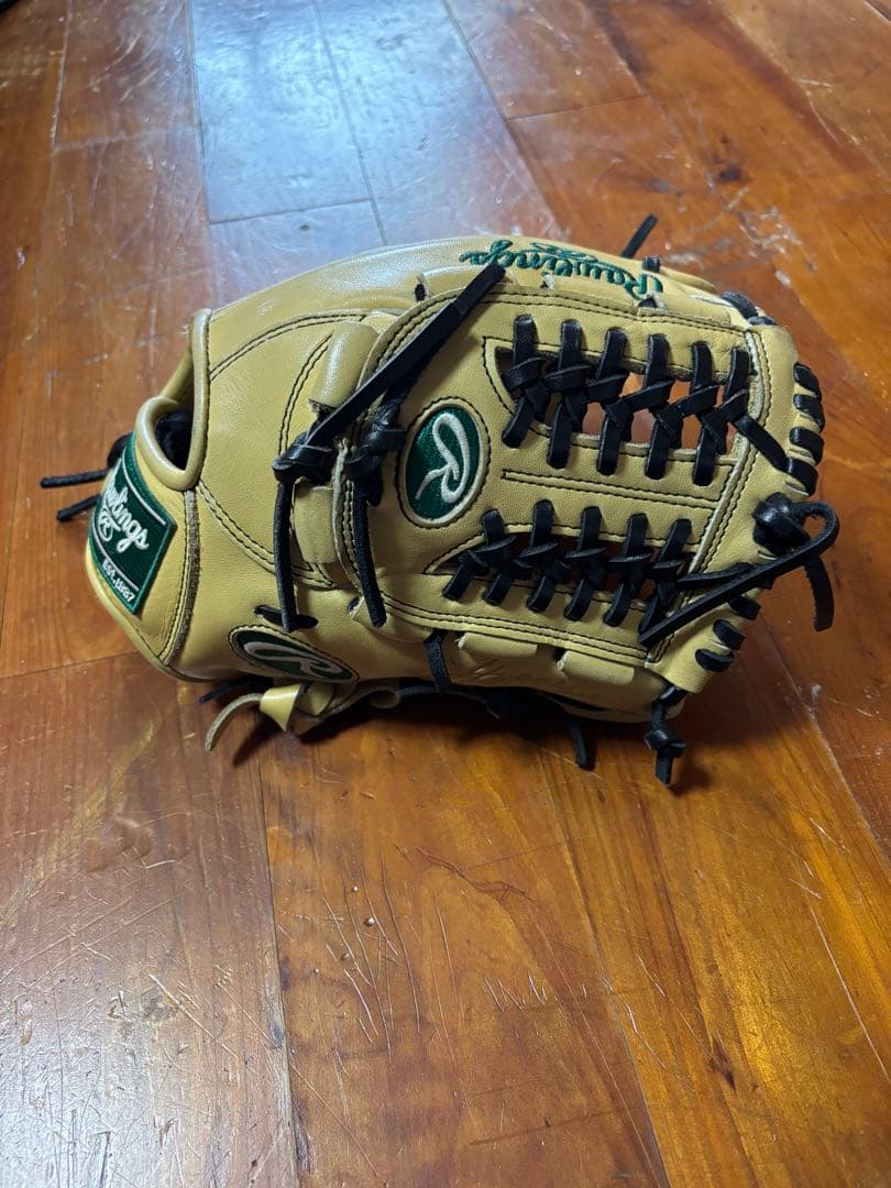 ローリングス　少年野球グローブ