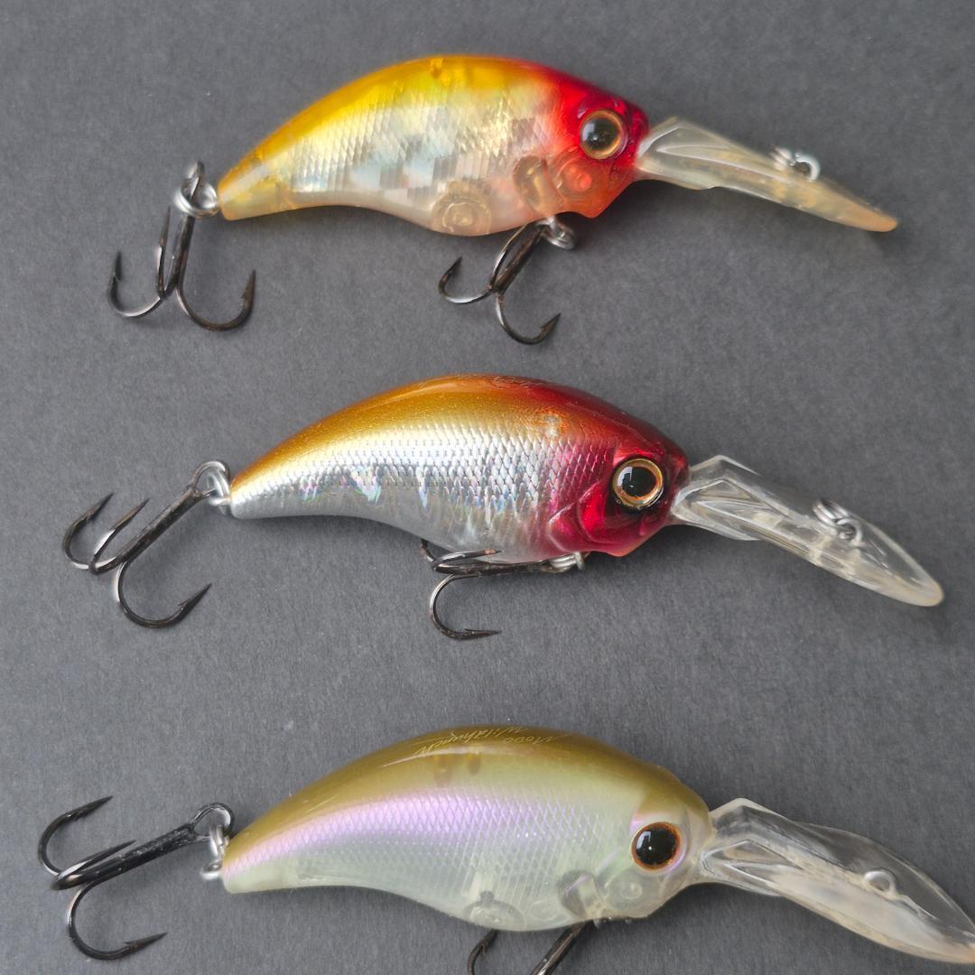 Evergreen MODO ワイルドハンチ 10個セット　a141-150