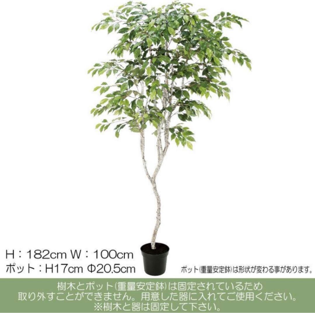 光触媒　人工観葉植物　ウォールグリーン　フェイクグリーン　フィカスツリー182