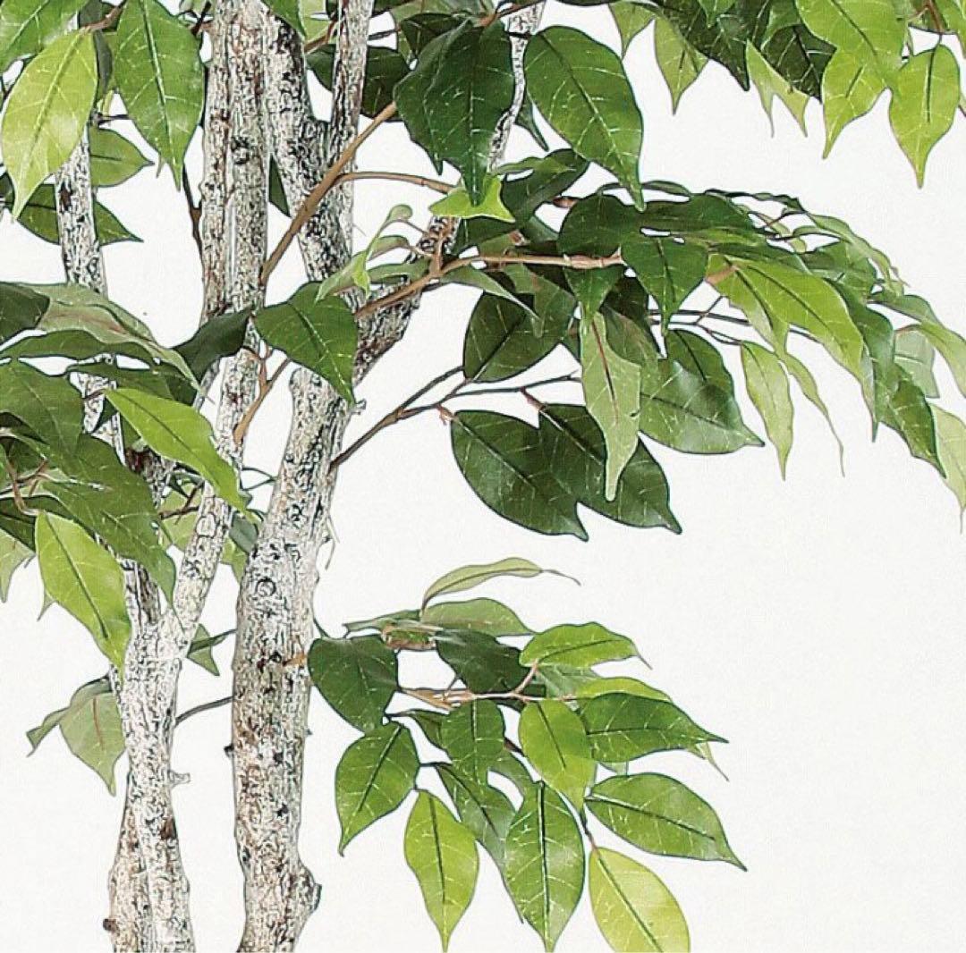 光触媒　人工観葉植物　ウォールグリーン　フェイクグリーン　フィカスツリー182