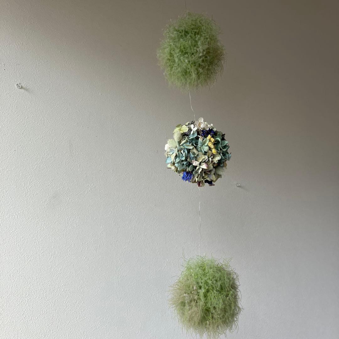 スモークツリー と紫陽花の3連ボールガーランド　千鳥草　フランネルフラワー