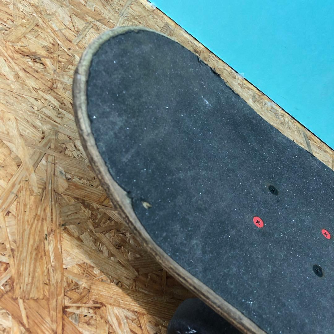 M3856 Santa Cruz Spawn スケートボード スケボー