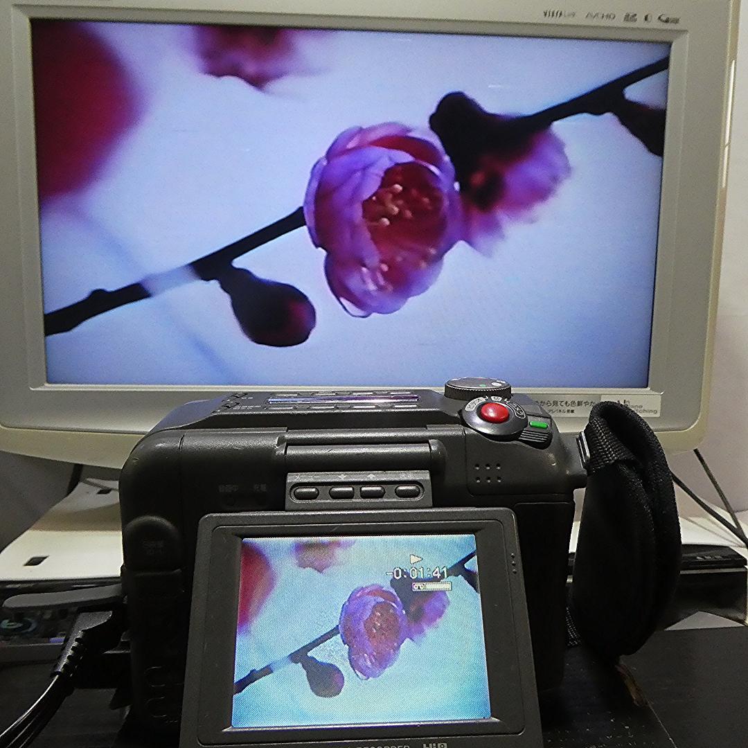 動作良好ソニー CCD-SC55 Video.Hi8デジタルビデオカメラDVD化