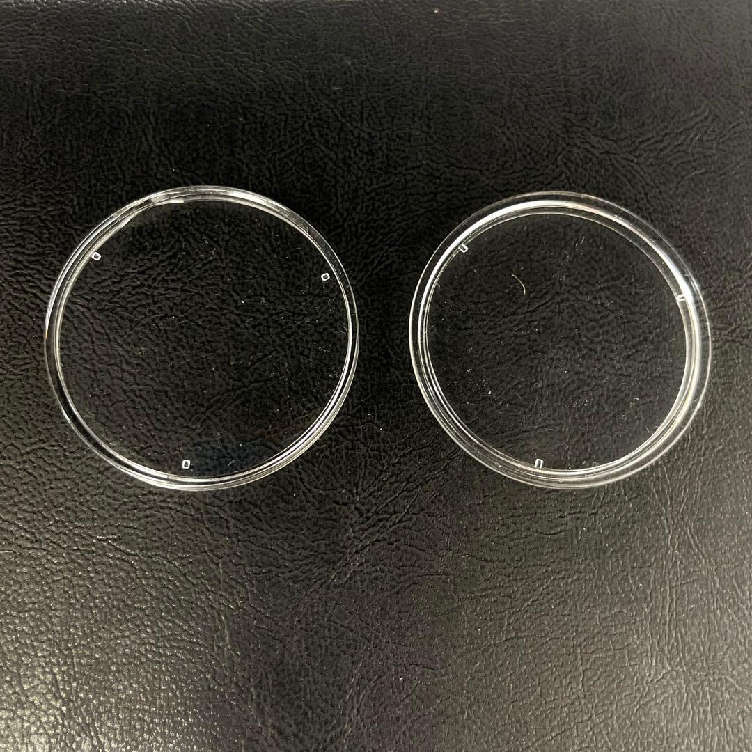 【2018年】パンダ銀貨　10元　カプセル付き②