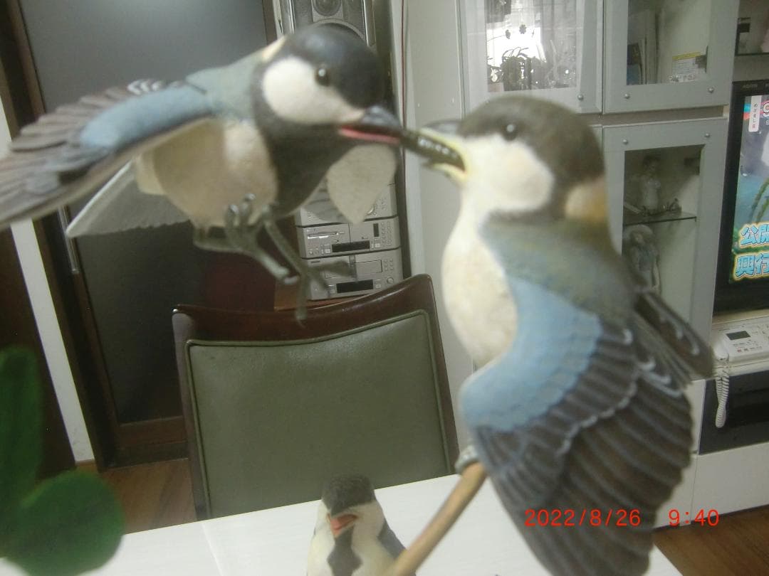 シジュウカラ　 バードカービング　野鳥彫刻　木彫 美術品 　インテリアＮ40