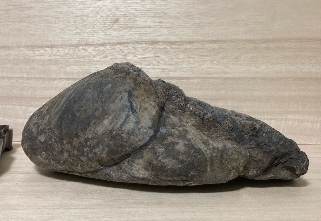 八瀬石　加茂七石　畚下石　水石　鑑賞石