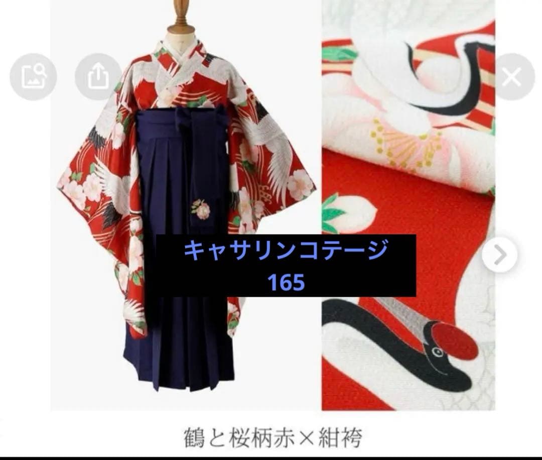 キャサリンコテージ　袴セット　鶴と桜柄　165 小学生　大学生