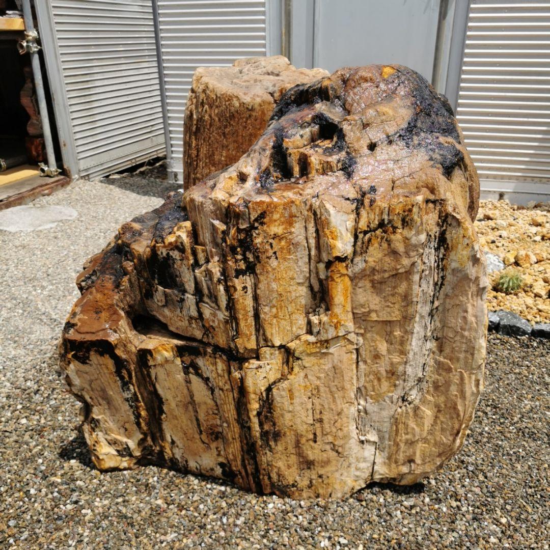 秋田産　珪化木　349キロ　木化石　庭石　石　鑑賞石　置物　オブジェ
