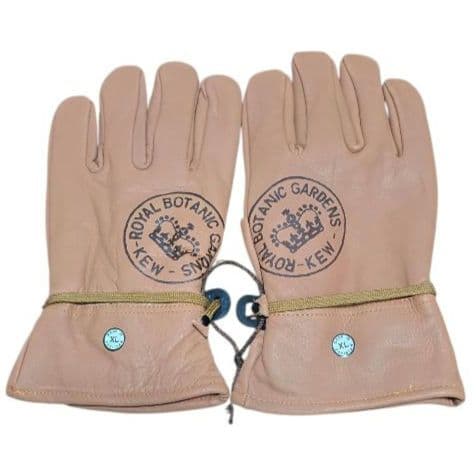 ロイヤルボタニカル キューガーデン 王立植物園 手袋 グローブ XL
