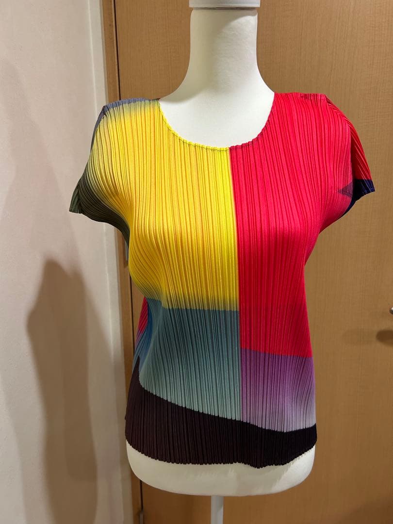 ⭐️本日限定価格⭐️レアなマルチカラープリーツプリーズタグ付き極美品⭐️