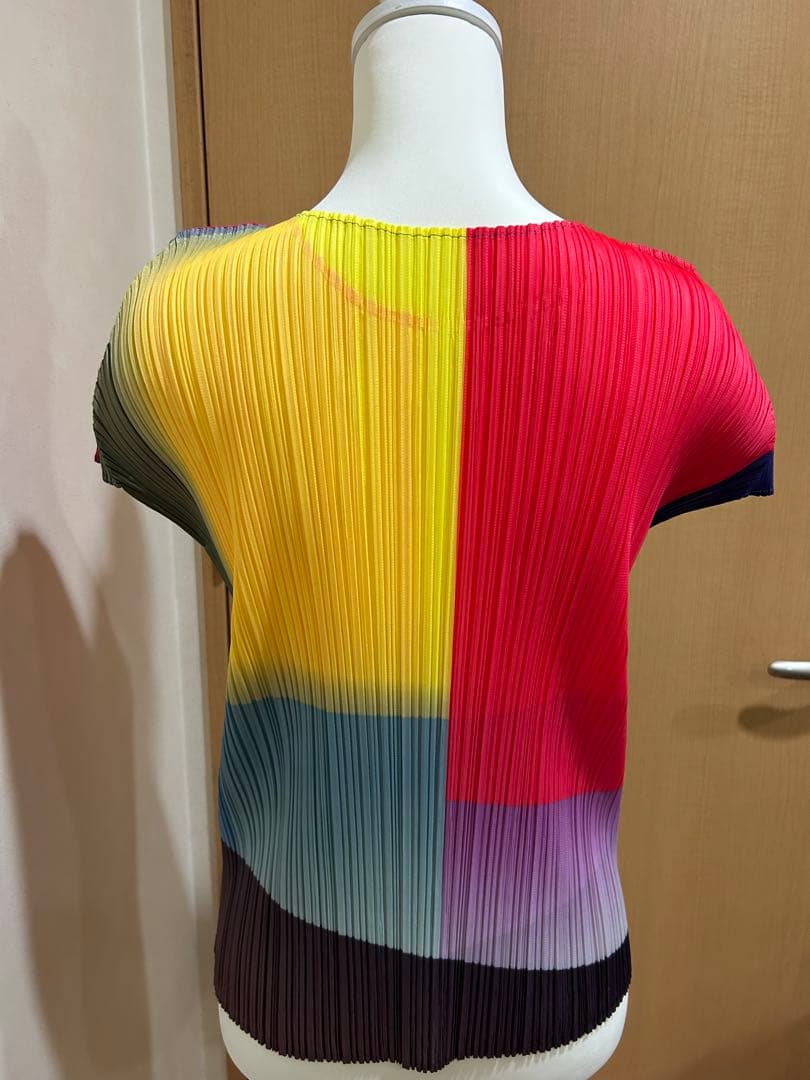 ⭐️本日限定価格⭐️レアなマルチカラープリーツプリーズタグ付き極美品⭐️