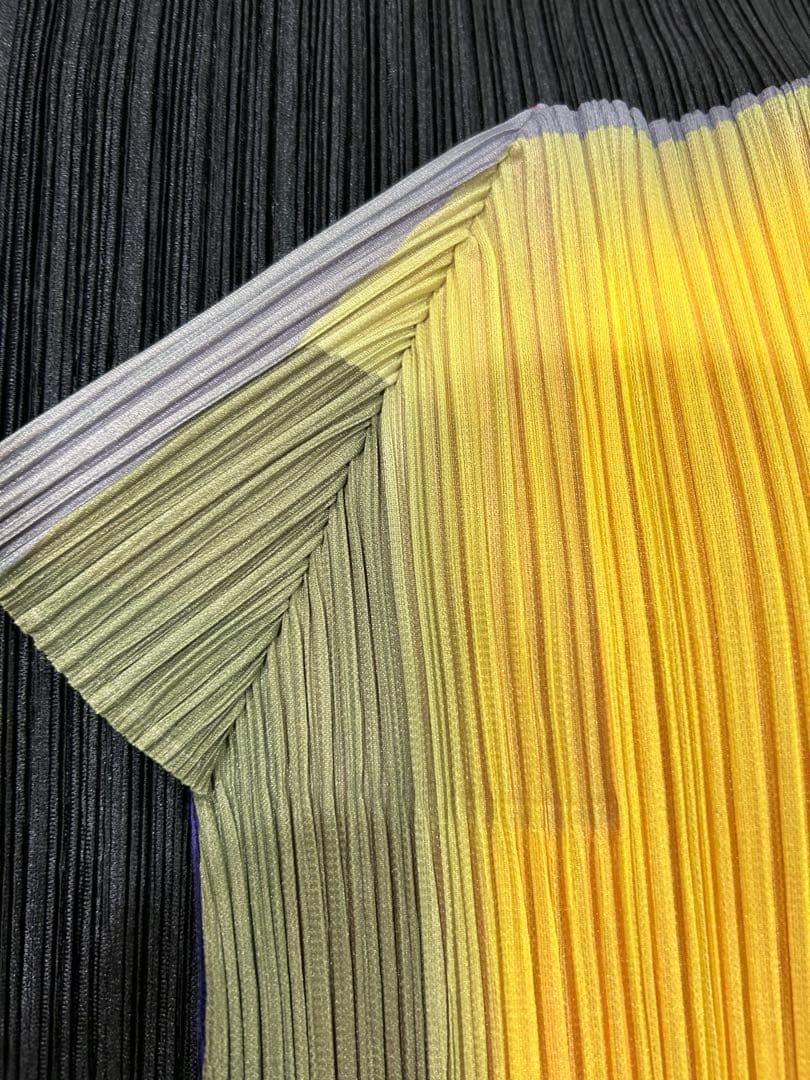 ⭐️本日限定価格⭐️レアなマルチカラープリーツプリーズタグ付き極美品⭐️