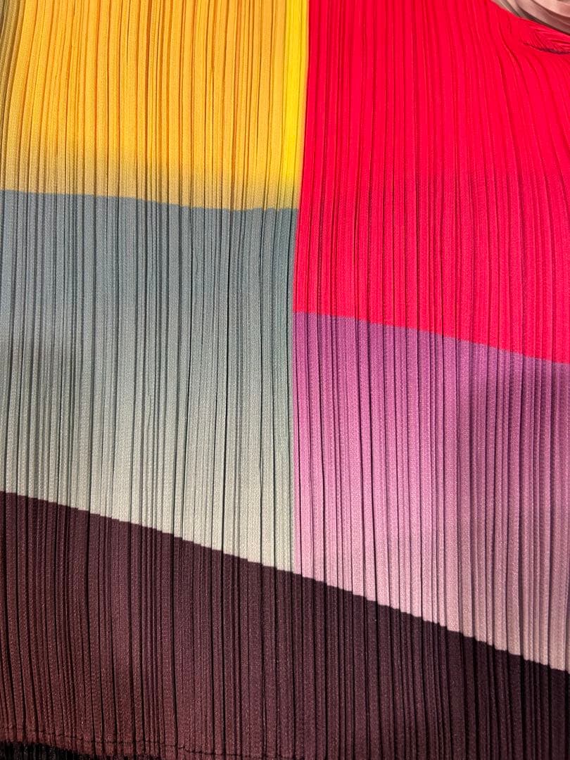 ⭐️本日限定価格⭐️レアなマルチカラープリーツプリーズタグ付き極美品⭐️